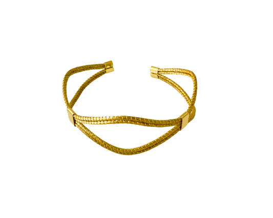 Duo Golden Grass Bangle